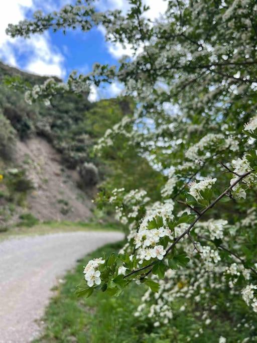 El Hoyaco Villa Los Espejos de la Reina Kültér fotó